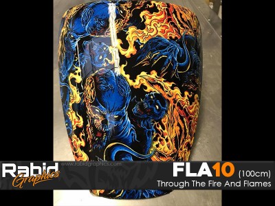 Through The Fire And Flames (100cm)