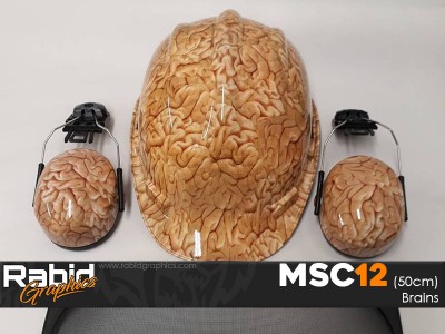 Brains (50cm)