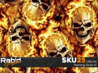 Flaming Skulls IV (50cm)
