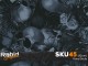 Floral Skulls (50cm)